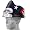 New England Patriots