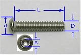 �X�e�����X6�p���t�{�^���{���g8(D)�~25(L)x10.5(d)-4.0(B)3�{��