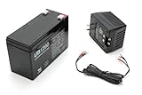 Sevylor Rechargeable 12V Battery Reviews