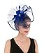 SAFERIN Fascinator Hat Feather Mesh Net VeilWedding Church Tea Party Hat Flower Derby Hat with Clip and Hairband for Women Girl (TA1-Sapphire Blue)