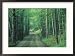 Gravel Road Through Maple Grove, Green Mountains, Vermont, USA Collections Framed Photographic Poster Print by Darrell Gulin, 29x21