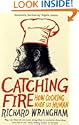 Catching Fire