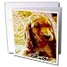 Dogs Irish Setter - Irish Setter Puppy - Greeting Cards-12 Greeting Cards with envelopes