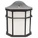 MaxLite ML4G181OLBK 18-Watt Box Lantern (75-Watt equivalent) Black