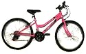 Reflex Katana 13" Girls Pink 18 Speed 24" Wheel MTB