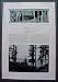 Fly Fishing Near Tahoe 1900 .... vintage Sunset Magazine article