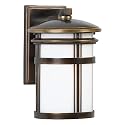Quoizel TP8408DZ Town Park 12 1/2-Inch Medium Wall Lantern with Etched Opal Glass, Dark Bronze Finish