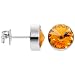 11mm Bezel November Birthstone Stud Earrings
