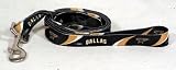 Dallas Stars NHL Pet Leash/Lead 6 Feet ( 3/4 Web) Medium