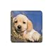 Labrador Retriever Lab Rubber Square Coaster (4 pack)