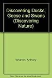 Discovering ducks, geese and swans