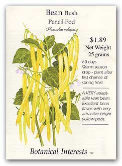 Bean Bush Pencil Pod Yellow Seed