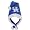 Kentucky Wildcats