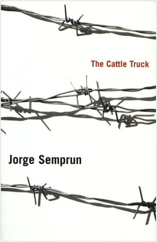 Cattle