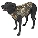 Stearns 6553MX4 3.0mm Neoprene Dog Vest