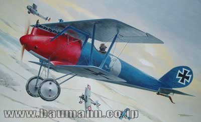 AVIATTIC 1/32 限定キット ファルツPFALZ DVIII 戦闘機 1/32 Aviattic Pfalz DVIII - LSP Discussion - Large Scale Planes