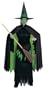 Wizard of Oz Wicked Witch Adult Costume IC22043 STD