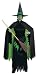 Wizard of Oz Wicked Witch Costume