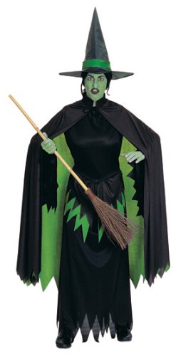 The Wizard of Oz Wicked Witch Adult