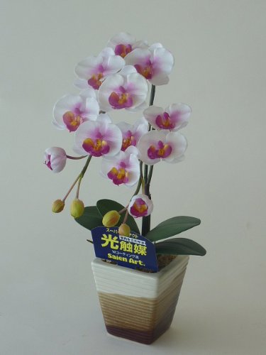 胡蝶蘭 絞り赤 Sサイズ 1本 光触媒造花の国内生産品 24時間効果持続のダブルコーティング 