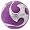 Purple/Silver