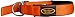 Mudriver Swagger Dog Collar Orange, Large
