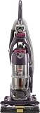 BISSELL Pet Hair Eraser, 87B43