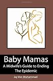 Baby Mamas: A Midwife's Guide to Ending the Epidemic