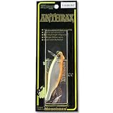 メガバス(Megabass) ANTHRAX M SHIGNAL BAIT