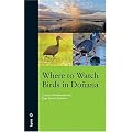 Where to Watch Birds in Donana
