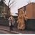 Voices of Animals and Men