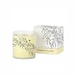 Archipelago Botanicals Grapefruit Soy Candle - 8.28 oz