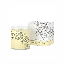 Archipelago Botanicals Grapefruit Soy Candle - 8.28 oz