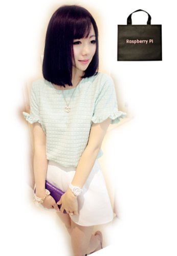 (ラズベリーパイ)RaspberryPi レディース トップス 半袖 ワッフル Tシャツ Ｆサイズ オリジナルエコバッグセット rt335