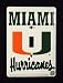 Miami Hurricanes Light Switch Cover
