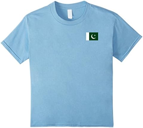 Kids Pakistani Independence Day Workwear Pakistan Flag T-Shirt 10 Baby Blue