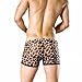 Dominik Men's Leopard Sheer Mesh Boxer Trunks