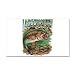 38.5 x24.5 Wall Vinyl Sticker Largemouth Bass