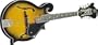 RM100F F-Style Mandolin (Standard)
