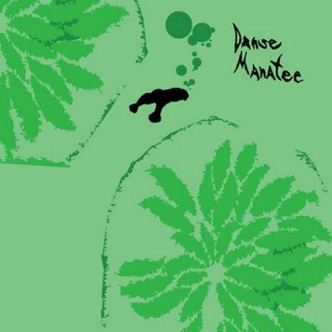 Animal Collective Picture 16