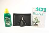 Click for more about Bonsai Gift Set/Starter Accessories - For trees with up to 20cm pots - The Bonsai Store.