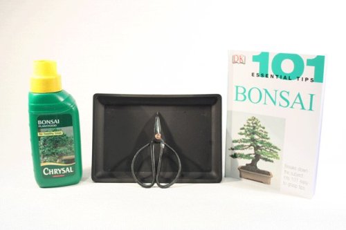 Bonsai Gift Set/Starter Accessories - For trees with pots up to 20cm