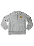 Dogwood - Boys Collared Sweatshirt, Grey