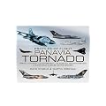 Panavia Tornado: Strike, Anti-Ship, Air Superiority, Air Defence, Reconnaissance and Electronic Warfard Fighter-Bomber (Profiles of Flight Series)