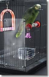 Feathered Phonics The Seed Guard, Small