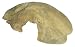 Exo Terra Reptile Cave, Medium Exo Terra Reptile Cave, Medium