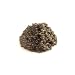 1 oz. Spoonbill Paddlefish Caviar