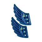 Blue Shwings||AFTLE