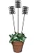 60" Florentine Garden Stake (Set of 3) - Pangaea Home and Garden Furniture - DS-C4275-K-SET3