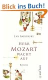 Herr Mozart wacht auf: Roman